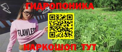 стафф Бугуруслан